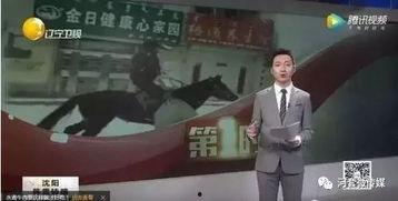 小马哥爆料视频大全最新,揭秘娱乐圈幕后真相 第1张 小马哥爆料视频大全最新,揭秘娱乐圈幕后真相 第1张