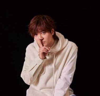 南宁罗志祥爆料新闻事件,娱乐圈风波再起,真相扑朔迷离 第2张 南宁罗志祥爆料新闻事件,娱乐圈风波再起,真相扑朔迷离 第2张