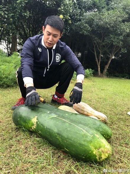 最新爆料吃瓜,神秘事件真相大揭秘! 第3张 最新爆料吃瓜,神秘事件真相大揭秘! 第3张