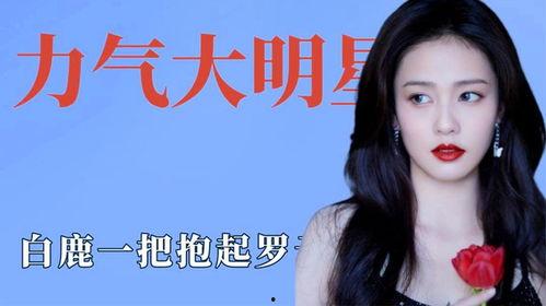 明星白鹿爆料视频大全下载,揭秘明星幕后故事  第3张